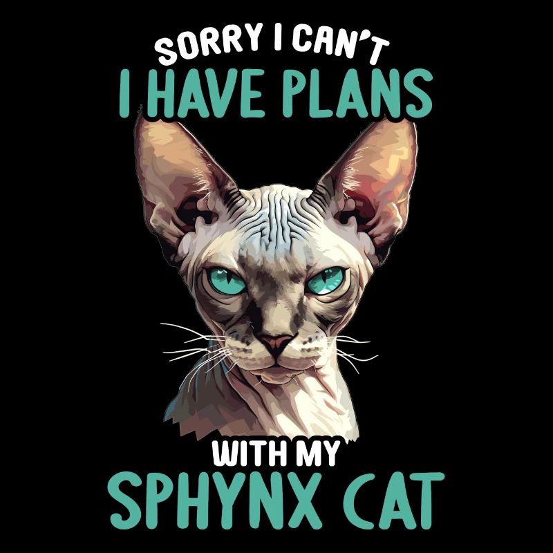 Sphynx Kätzchen Sphynx Katze