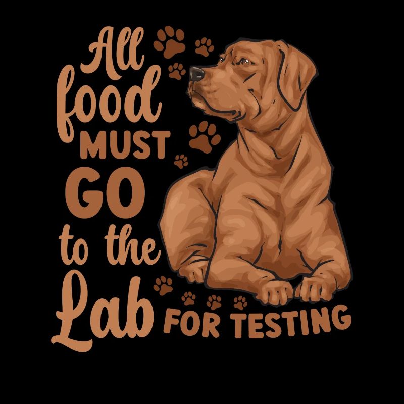 Fuchsroter Labrador Retriever Fox Red Labrador