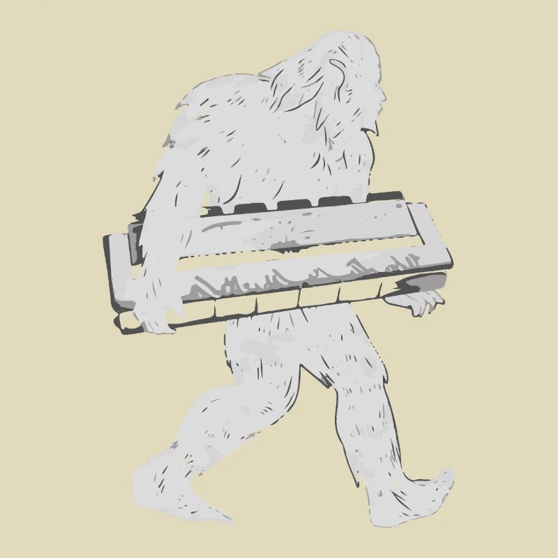 Cadeau de jeu d’harmonica