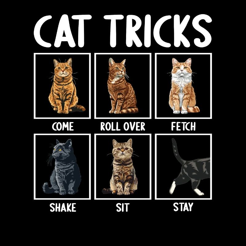 Chat Chats Astuces Chats Drôles
