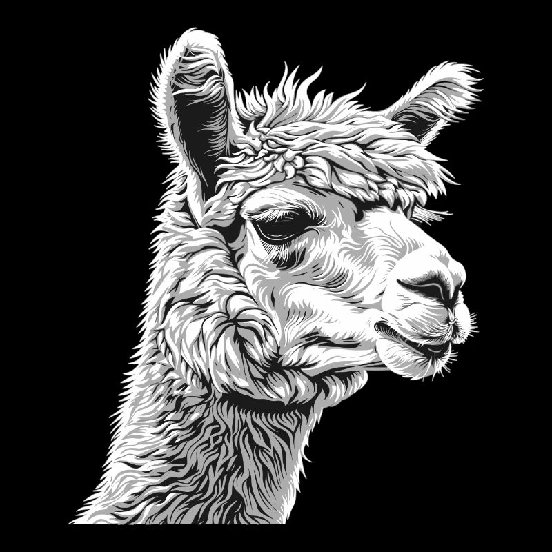 Alpaca Alpacas Alpaca