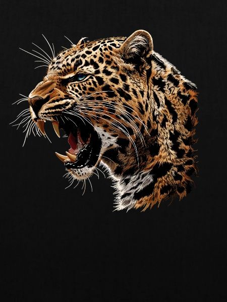 Leoparden Leopard
