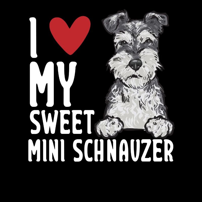 Zwergschnauzer Hund Schnauzer