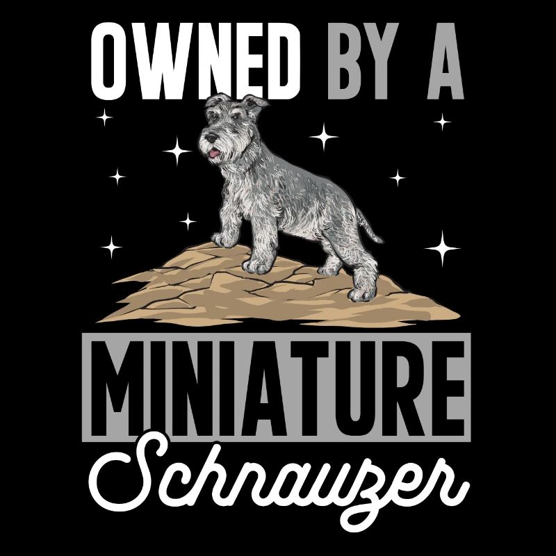 Zwergschnauzer Hund Schnauzer