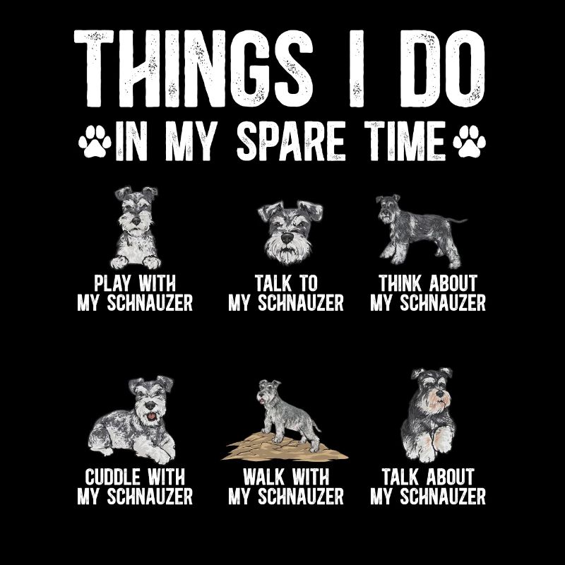 Schnauzer nain Chien Schnauzer