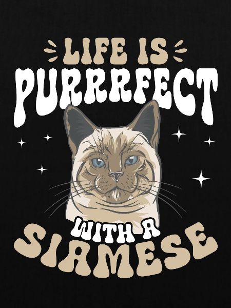 Siamese Cat Siamese Cat