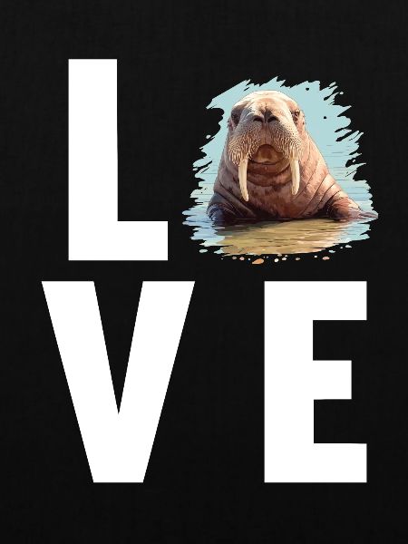 Walrus Walrosse Walross