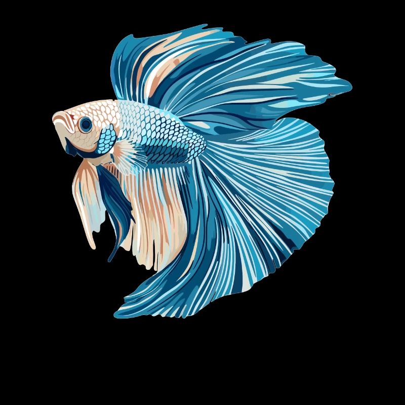 Bettas Betta Fisch Betta