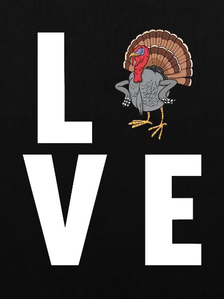 Turkey Truthähne Truthahn