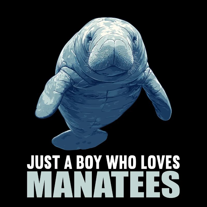 Seekuh Manatees Manatee