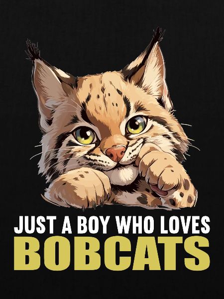 Bobcats Rotluchse Rotluchs Luchs