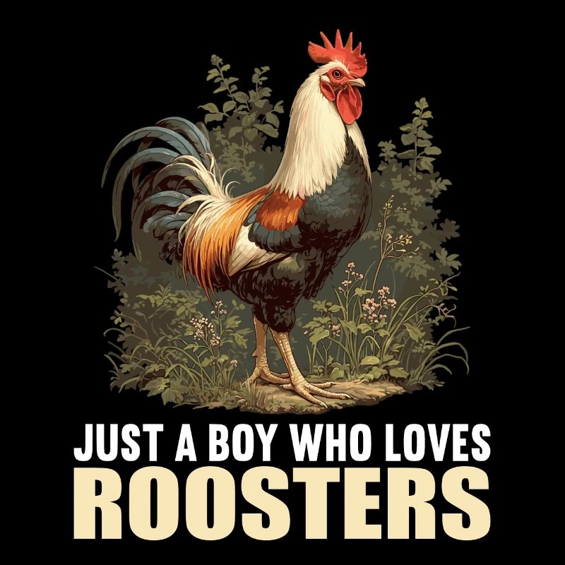Rooster Hähne Hahn