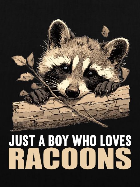 Waschbären Waschbär