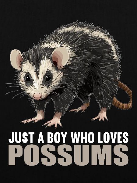 Opossum Opossums