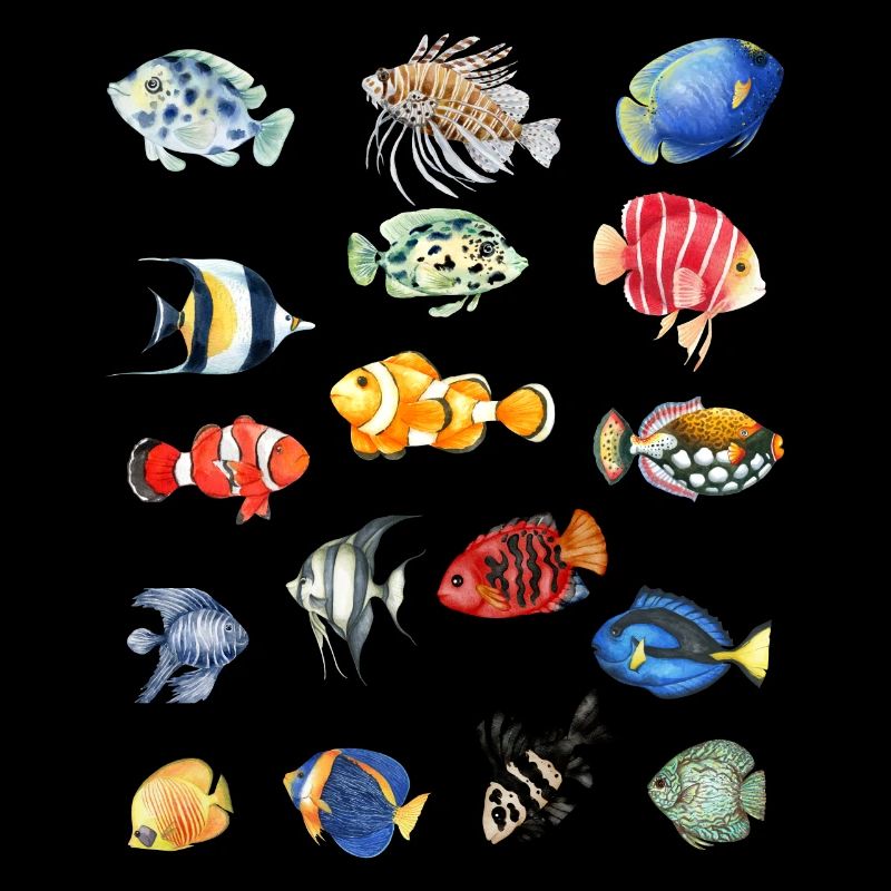Fish Collection.Poisson coloré dans un style exotique