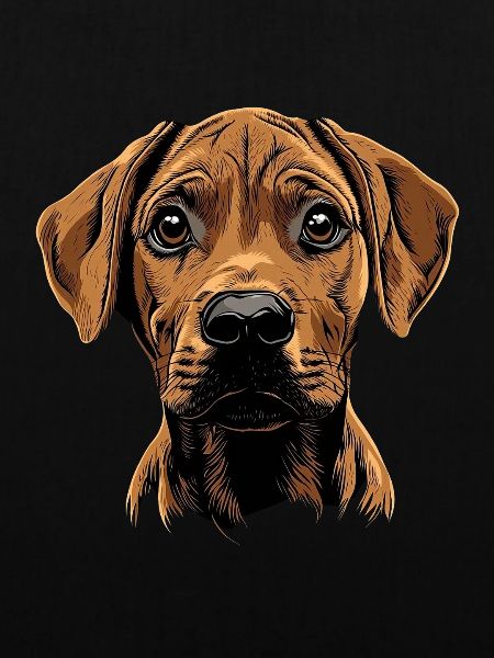 Rhodesian Ridgeback