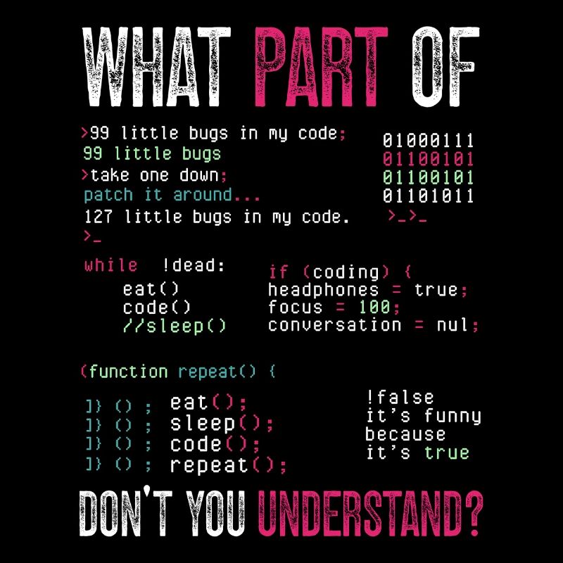 Programmer Computer Coding Software Developer