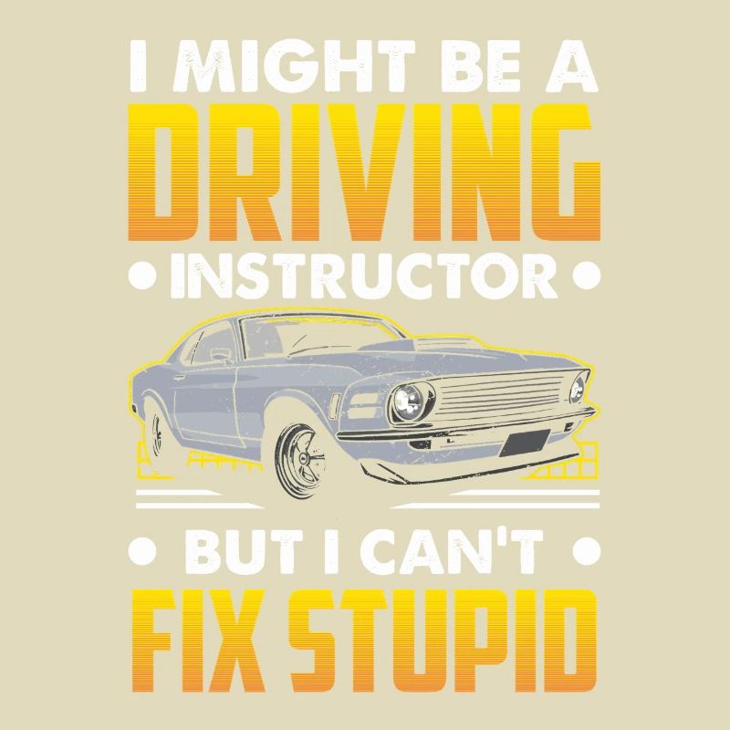 Driving School Driving Instructor