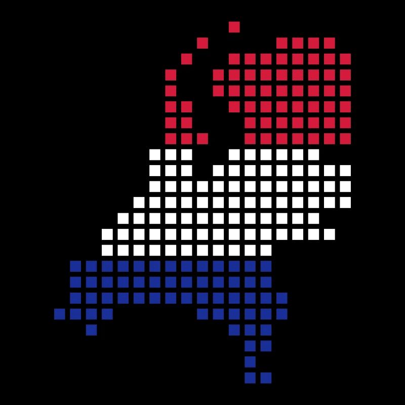 Pays-bas - flag - map - holland