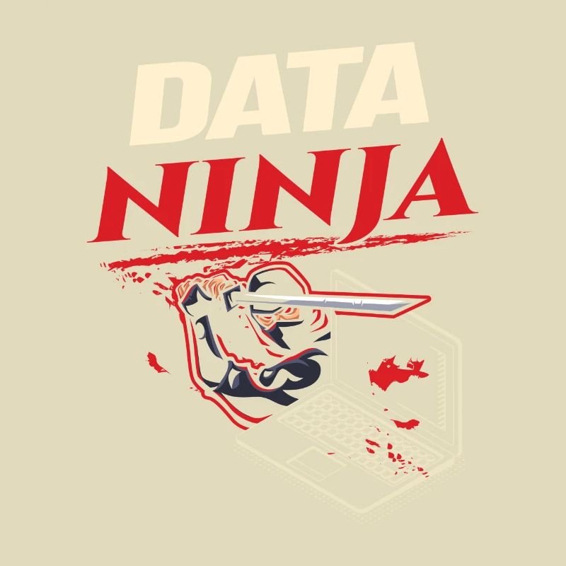 Data Ninja computer programming coder