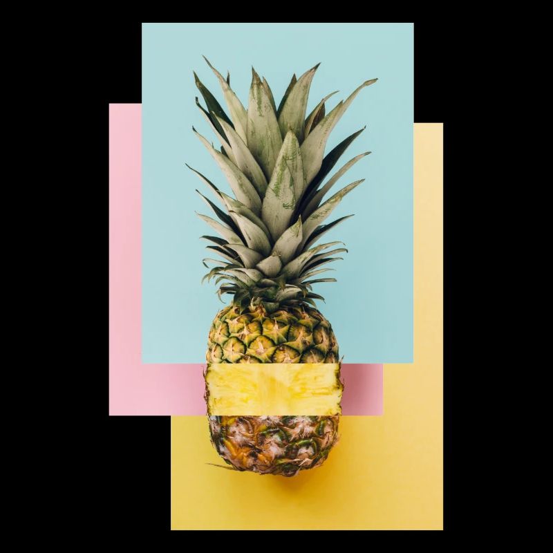 Bunte Ananas / Geschenk Idee