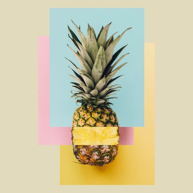Bunte Ananas / Geschenk Idee