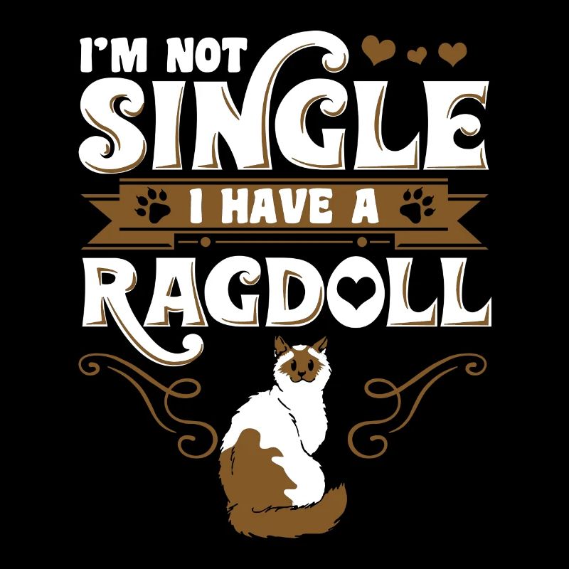 Ragdoll Katze Haustier