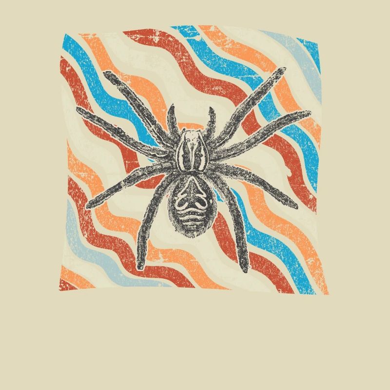 spider