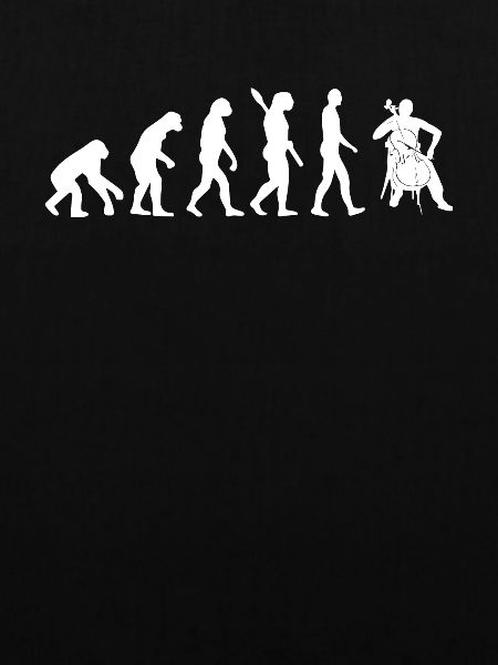 Cello musical instrument evolution
