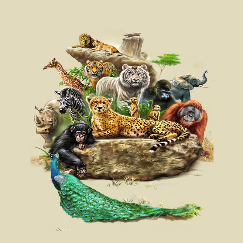 Die wunderschöne Tierwelt