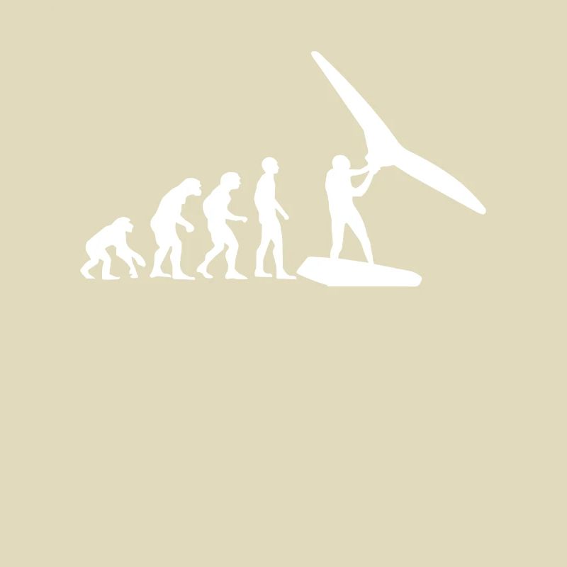 Wing Surf Evolution Wing Foil Geschenk Wingfoiler