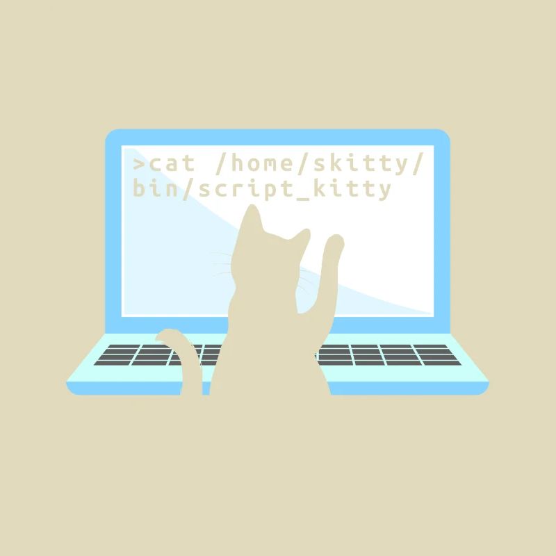 Chat comme codeur codeur propriétaire de chat