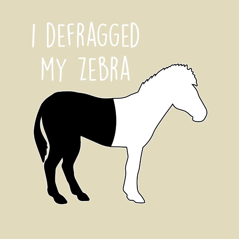 I defragged my Zebra Coder Informaticien Hacker