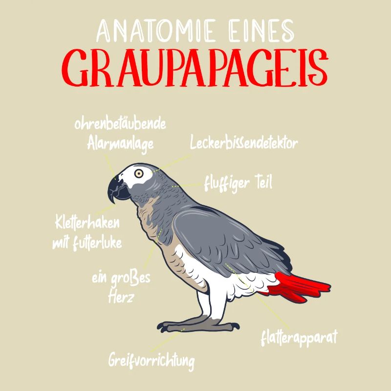 Anatomie eines Graupapageis Vogel Vogelhalter