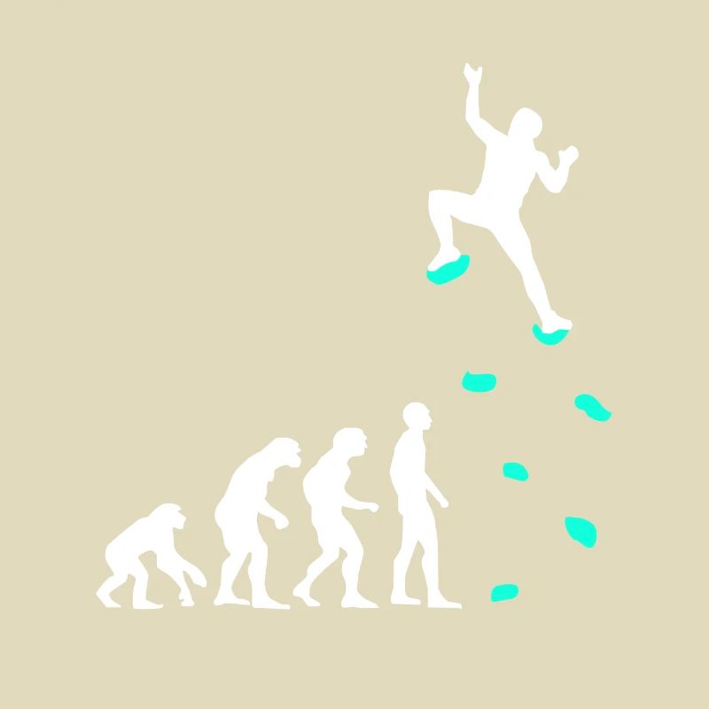 Climbing Evolution Climbing Handles Climbing Wall