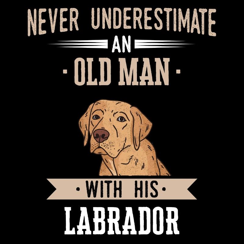 Labrador Hund