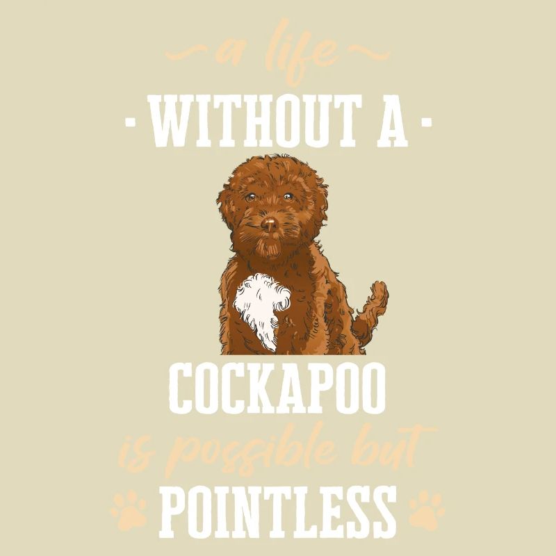 Cockapoo Chien