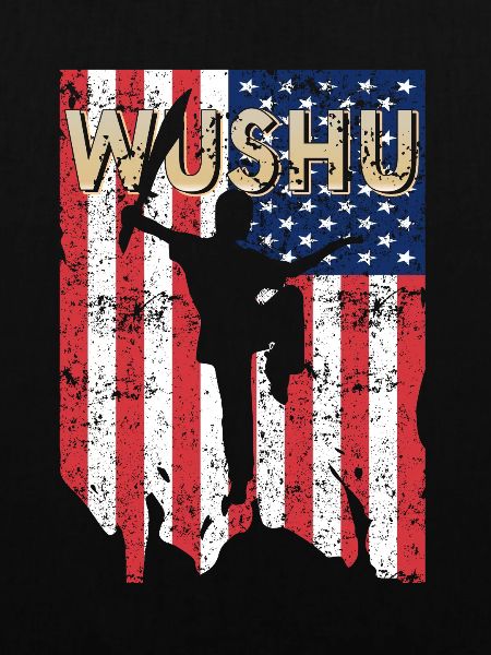 US USA Wushu