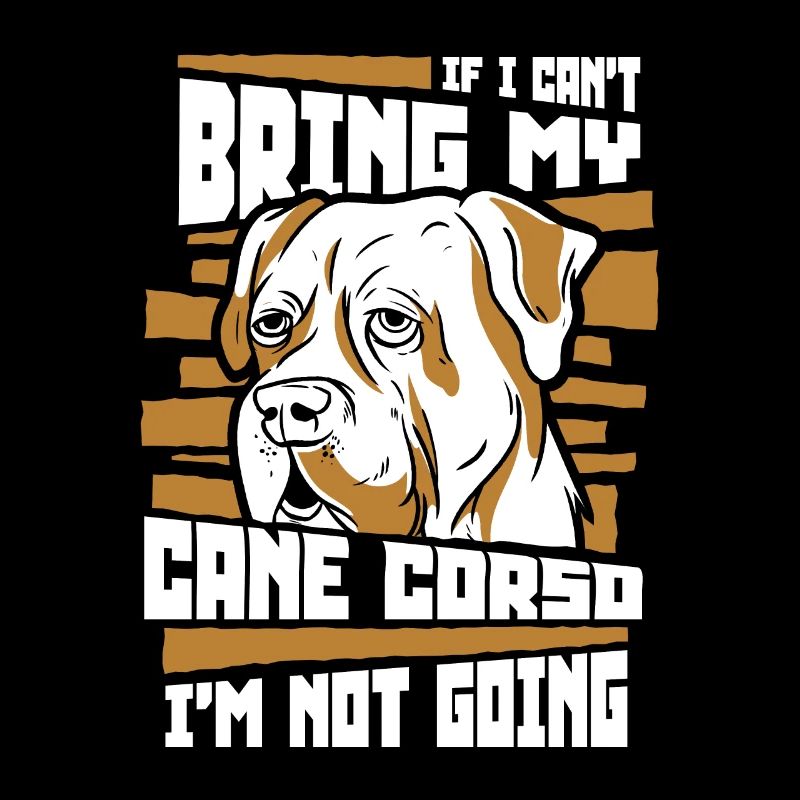 Cane Corso Chien