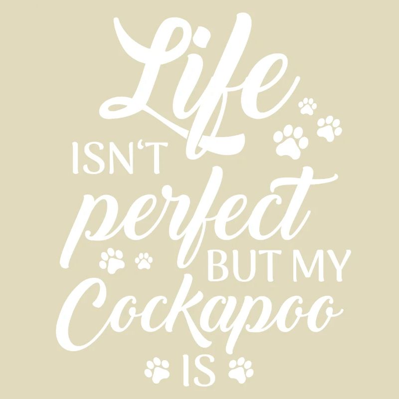 Cockapoo Chien
