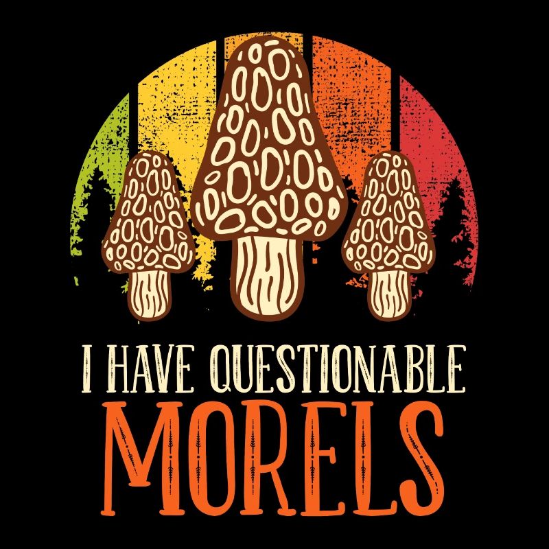 Mushroom picker saying I have questionable Morels