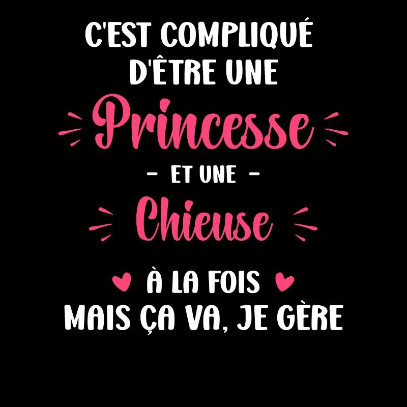 C est compliqué princesse et Chieuse