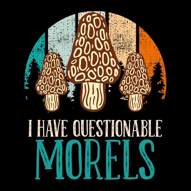 Mushroom picker saying I have questionable Morels