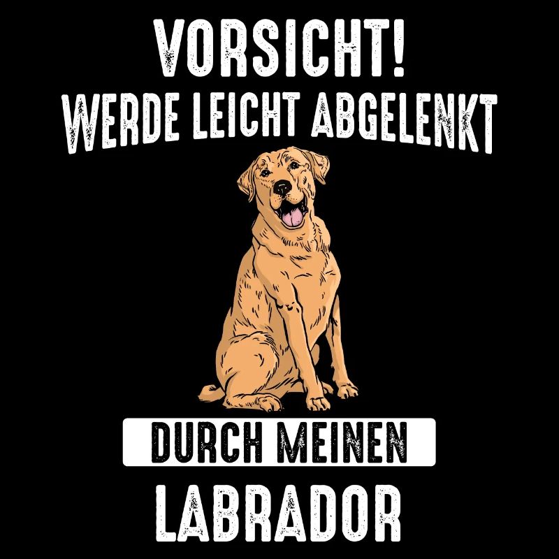 Labrador Hund