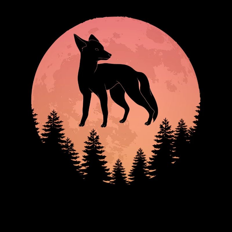 Nature Full Moon Fox Hunter