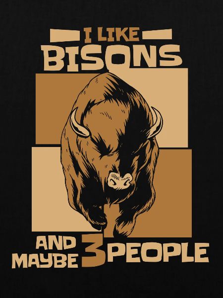 Bison Büffel Bulle Buffalo Bisons