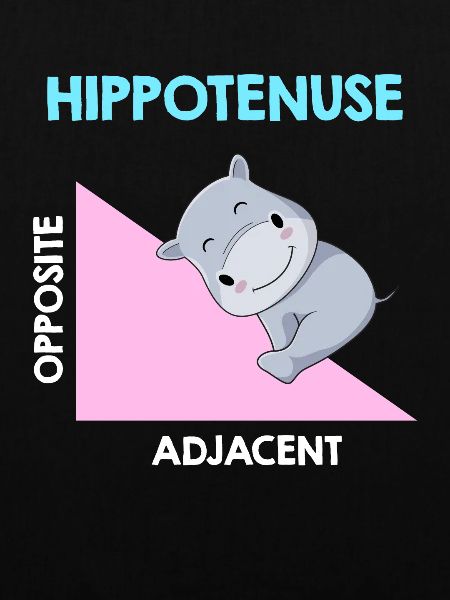 Hippotenuse Algebra Analysis