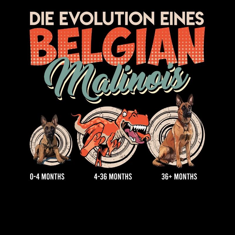 EVOLUTION EINES BELGIAN MALINOIS Belgischer