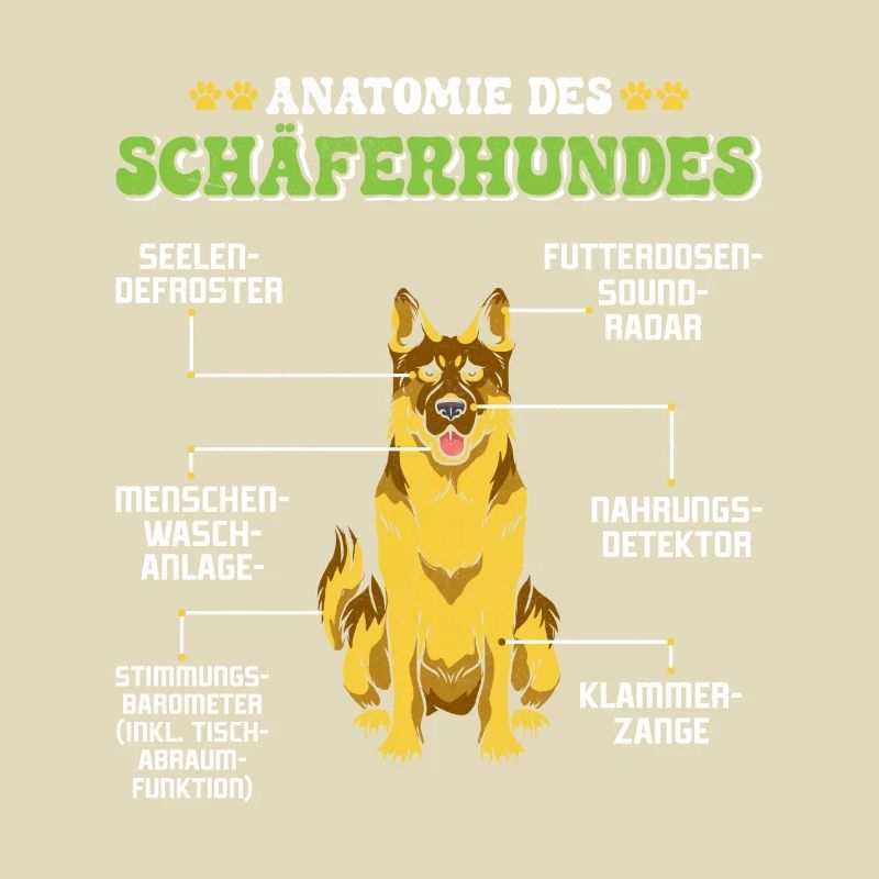 Deutscher Schäferhund ANATOMIE DES SCHÄFERHUNDES