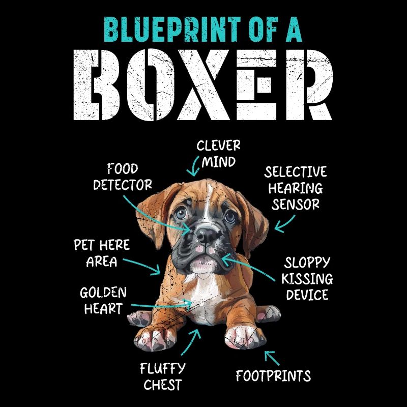 Boxer allemand PLAN D’UN BOXER Drôle
